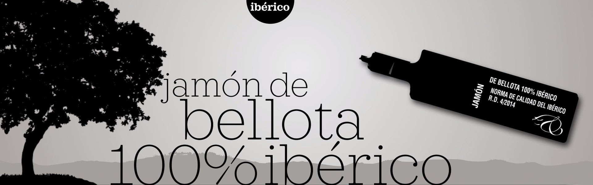 Productora Audiovisual en Madrid LowMedia ejemplo de video motion graphics